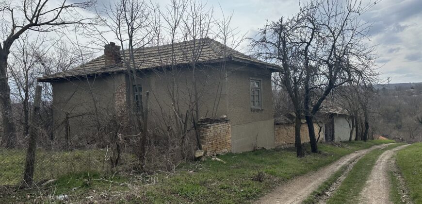 Vixen House – Palamartsa