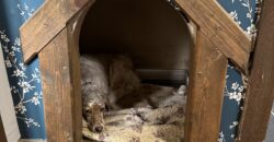 Serenity Lodge – Polski Senovets