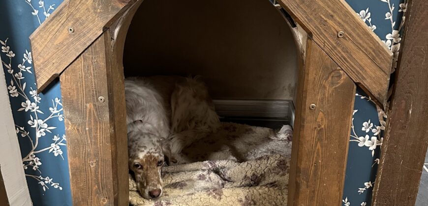 Serenity Lodge – Polski Senovets