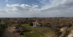 Bluebird House – Pavel