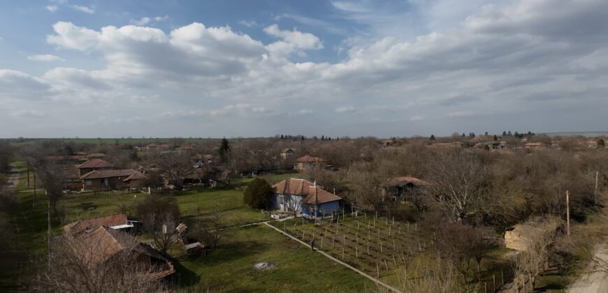 Bluebird House – Pavel