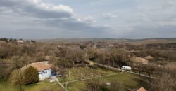 Bluebird House – Pavel