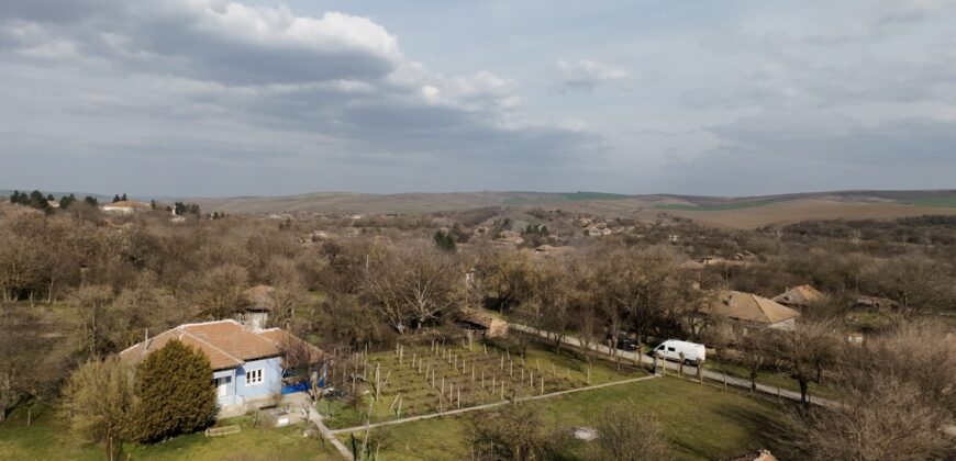 Bluebird House – Pavel